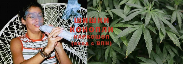 прущие грибы Алзамай